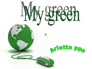 My green Ariatta pps 