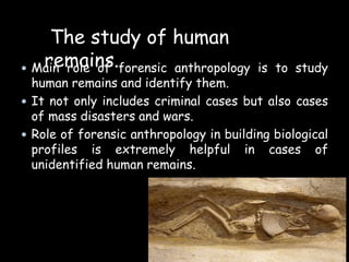  Main role of forensic anthropology is to study
human remains and identify them.
 It not only includes criminal cases but also cases
of mass disasters and wars.
 Role of forensic anthropology in building biological
profiles is extremely helpful in cases of
unidentified human remains.
The study of human
remains.
 