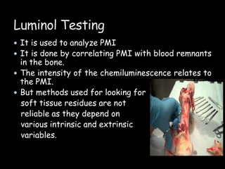  It is used to analyze PMI
 It is done by correlating PMI with blood remnants
in the bone.
 The intensity of the chemiluminescence relates to
the PMI.
 But methods used for looking for
soft tissue residues are not
reliable as they depend on
various intrinsic and extrinsic
variables.
 