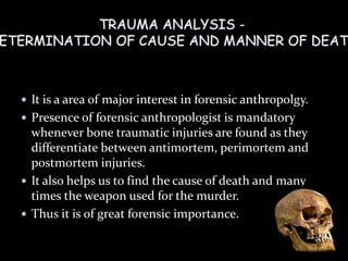  It is a area of major interest in forensic anthropolgy.
 Presence of forensic anthropologist is mandatory
whenever bone traumatic injuries are found as they
differentiate between antimortem, perimortem and
postmortem injuries.
 It also helps us to find the cause of death and many
times the weapon used for the murder.
 Thus it is of great forensic importance.
 