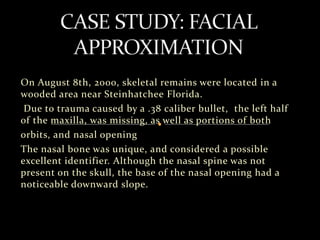 On August 8th, 2000, skeletal remains were located in a
wooded area near Steinhatchee Florida.
Due to trauma caused by a .38 caliber bullet, the left half
of the maxilla, was missing, as well as portions of both
orbits, and nasal opening
The nasal bone was unique, and considered a possible
excellent identifier. Although the nasal spine was not
present on the skull, the base of the nasal opening had a
noticeable downward slope.
 