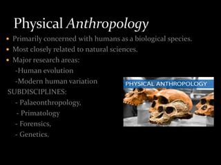  Primarily concerned with humans as a biological species.
 Most closely related to natural sciences.
 Major research areas:
-Human evolution
-Modern human variation
SUBDISCIPLINES:
- Palaeonthropology,
- Primatology
- Forensics,
- Genetics.
 