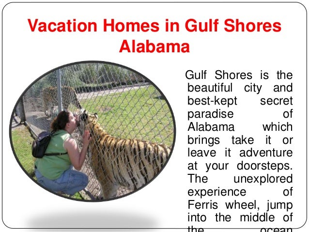 Vacation Homes In Gulf Shores Alabama