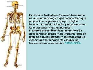 En términos biológicos. El esqueleto humano es un sistema biológico que proporciona que proporciona soportes y apoyo al tejido blando a los tejidos blandos y musculares en los organismos vivos vertebrados. El sistema esquelético tiene como función darle forma al cuerpo y movimiento: también protege algunos órganos y sostenimineto. La ciencia que se encarga de estudiar los huesos huesos se denomina OSTEOLOGÍA .   