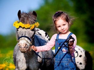 My heart will go on...