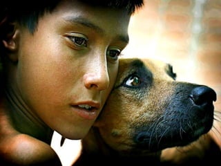 My heart will go on...