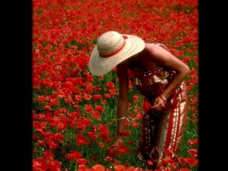 My heart will go on...