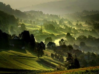 My heart will go on...