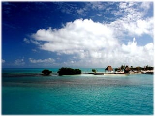 My heart will go on...