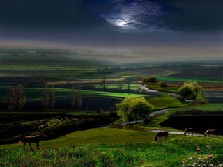 My heart will go on...