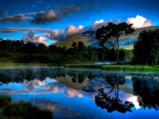 My heart will go on...