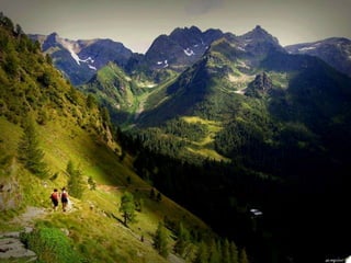 My heart will go on...