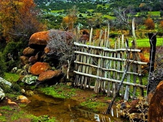 My heart will go on...