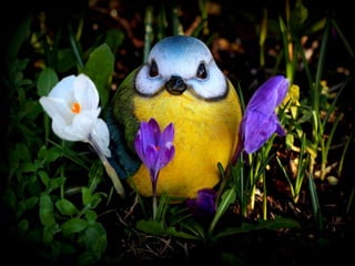 My heart will go on...