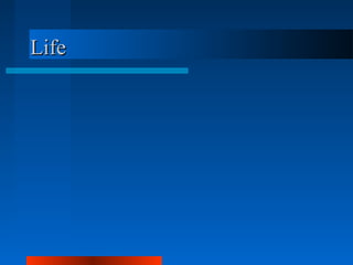 LifeLife
 
