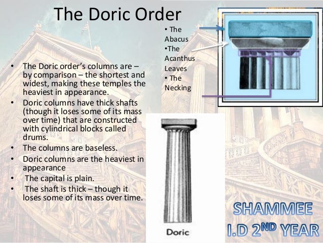 The Bulging Of The Column Shaft Is Called The Bulging Of The Column Shaft Is Called
