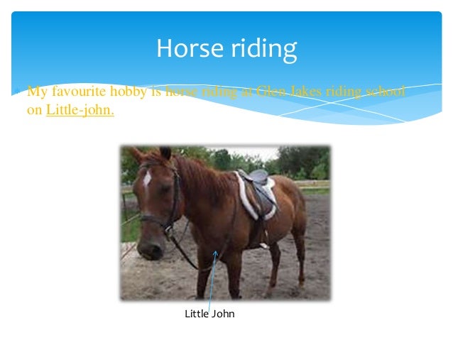 my hobby horse riding