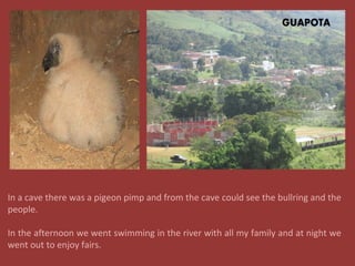 In a cave there was a pigeon pimp and from the cave could see the bullring and the
people.
In the afternoon we went swimming in the river with all my family and at night we
went out to enjoy fairs.
 