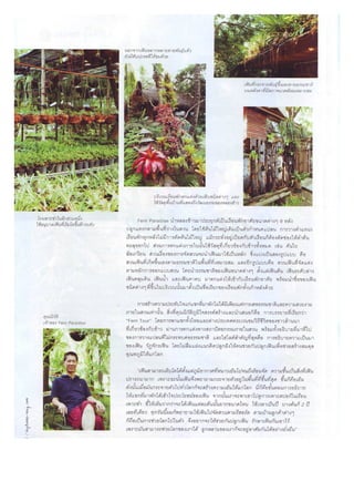 Fern paradise Green House : Niwat Architects