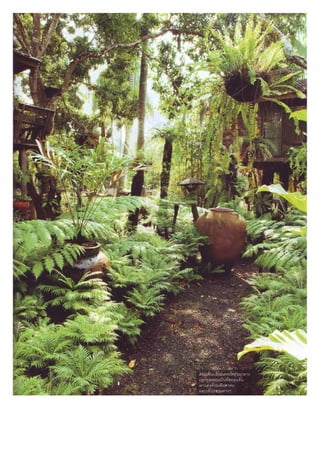 Fern paradise Green House : Niwat Architects