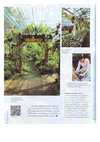 Fern paradise Green House : Niwat Architects