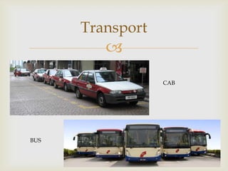 Transport


CAB

BUS

 