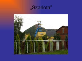 „ Szarlota” 