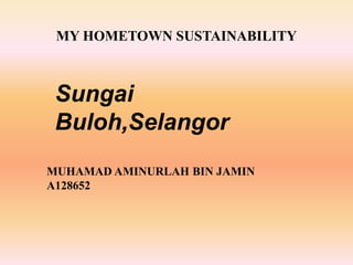 MY HOMETOWN SUSTAINABILITY
MUHAMAD AMINURLAH BIN JAMIN
A128652
Sungai
Buloh,Selangor
 