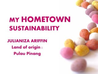 MY HOMETOWN
SUSTAINABILITY
JULIANIZA ARIFFIN
Land of origin :
Pulau Pinang
 