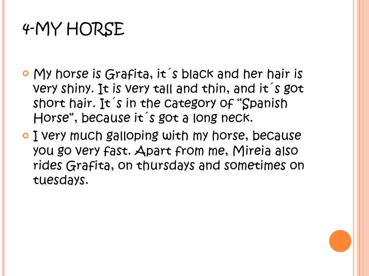 my hobby horse riding