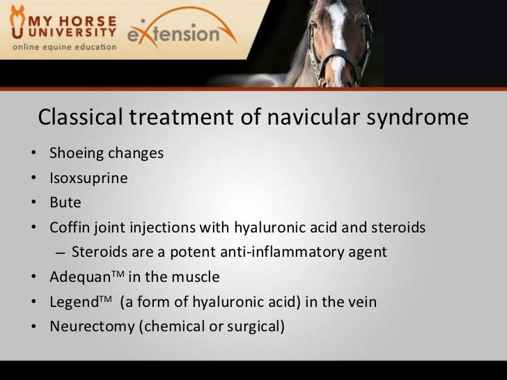 Lameness in the Performance Horse (Rashmir)