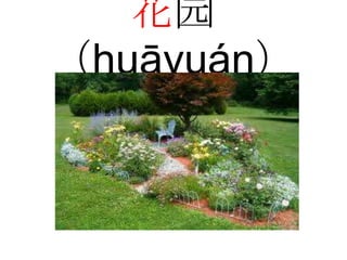 花园
（huāyuán）
 