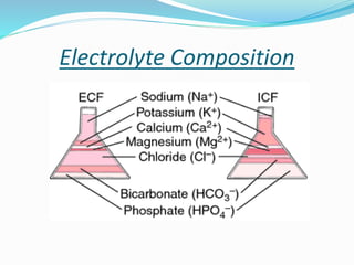 Electrolyte Composition
 