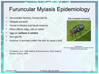Myiasis: Nursing Intervention | PPS