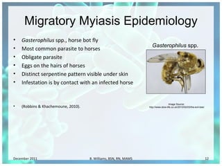 Myiasis: Maggot Infestation , Myiasis: Causes, Symptoms, and Treatment ...