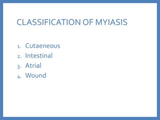 MYIASIS AND MAGGOT THERAPY.ppt