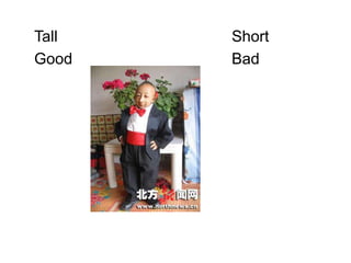 Tall   Short
Good   Bad
 