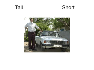 Tall   Short
 
