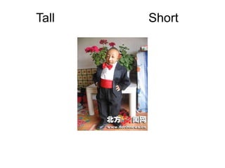 Tall   Short
 