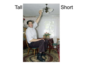 Tall   Short
 