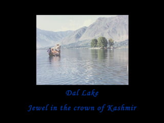 Dal Lake Jewel in the crown of Kashmir 