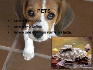PETS
●   I have a three pets
●   I have a two turtles
●   I have a one dog. His name is Haide.
 
