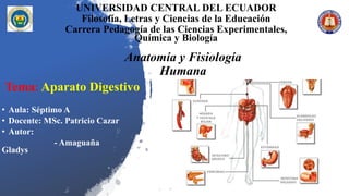 UNIVERSIDAD CENTRAL DEL ECUADOR
Filosofía, Letras y Ciencias de la Educación
Carrera Pedagogía de las Ciencias Experimentales,
Química y Biología
• Aula: Séptimo A
• Docente: MSc. Patricio Cazar
• Autor:
- Amaguaña
Gladys
Tema: Aparato Digestivo
Anatomía y Fisiología
Humana
 