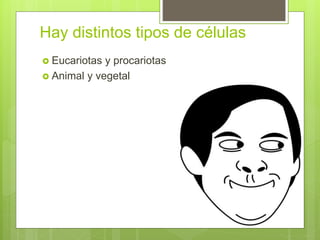 Hay distintos tipos de células
 Eucariotas y procariotas
 Animal y vegetal
 