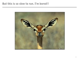 But this is so slow to run. I’m bored!!
33
 