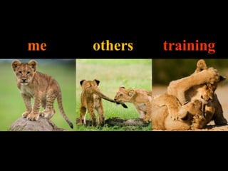 me others training
 