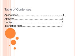 Table of ContensesAppearance………………………................................4Appetite …………………………………………………5 Habitat………………………………………………......6Interesting fates………………………………………..7