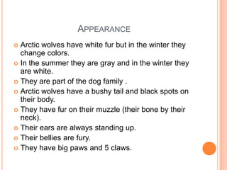 AppearanceArctic wolves have white fur but in the winter they change colors.