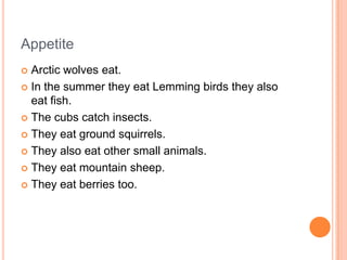 In the summer they are gray and in the winter they are white.