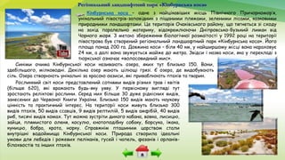 Регіональний ландшафтний парк «Кінбурнська коса»
Кінбурнська коса – одне з найцікавіших місць Північного Причорномор’я,
унікальний півострів-заповідник з піщаними пляжами, зеленими лісами, казковими
природними ландшафтами. Це територія Очаківського району, що тягнеться зі сходу
на захід паралельно материку, відокремлюючи Дніпровсько-Бузький лиман від
Чорного моря. З метою збереження біологічної розмаїтості у 1992 році на території
півострова був створений регіональний ландшафтний парк «Кінбурнська коса». Його
площа понад 200 га. Довжина коси – біля 40 км, у найширшому місці вона нараховує
24 км, а далі вона звужується майже до метра. Звідси і назва коси, яка у перекладі з
тюркської означає «волосовидний мис».
Синіми очима Кінбурнської коси називають озера, яких тут близько 150. Вони,
здебільшого, мілководні. Декілька озер мають цілющі грязі. Є озера, де видобувають
сіль. Озера створюють унікальні за красою оазиси, які приваблюють птахів та тварин.
Рослинний світ коси представлений сотнями видів різних трав і квітів
(більше 620), які вражають будь-яку уяву. У первісному вигляді тут
зростають реліктові рослини. Серед них більше 30 дуже рідкісних видів,
занесених до Червоної Книги України. Близько 150 видів мають наукову
цінність та практичний інтерес. На території коси живуть близько 300
видів птахів, 50 видів ссавців, 9 видів рептилій, 5 видів амфібій, 40 видів
риб, тисячі видів комах. Тут можна зустріти дикого кабана, вовка, лисицю,
зайця, плямистого оленя, косулю, єнотоподібну собаку, борсука, їжака,
куницю, бобра, крота, норку. Справжнім пташиним царством стали
внутрішні водоймища Кінбурнської коси. Природа створила ідеальні
умови для лебедів і рожевих пеліканів, гусей і чапель, фазанів і орланів-
білохвостів та інших птахів.
 